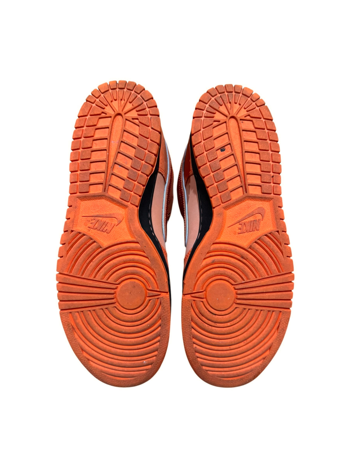 Nike SB Dunk Low Concepts Orange Lobster (Special Box)