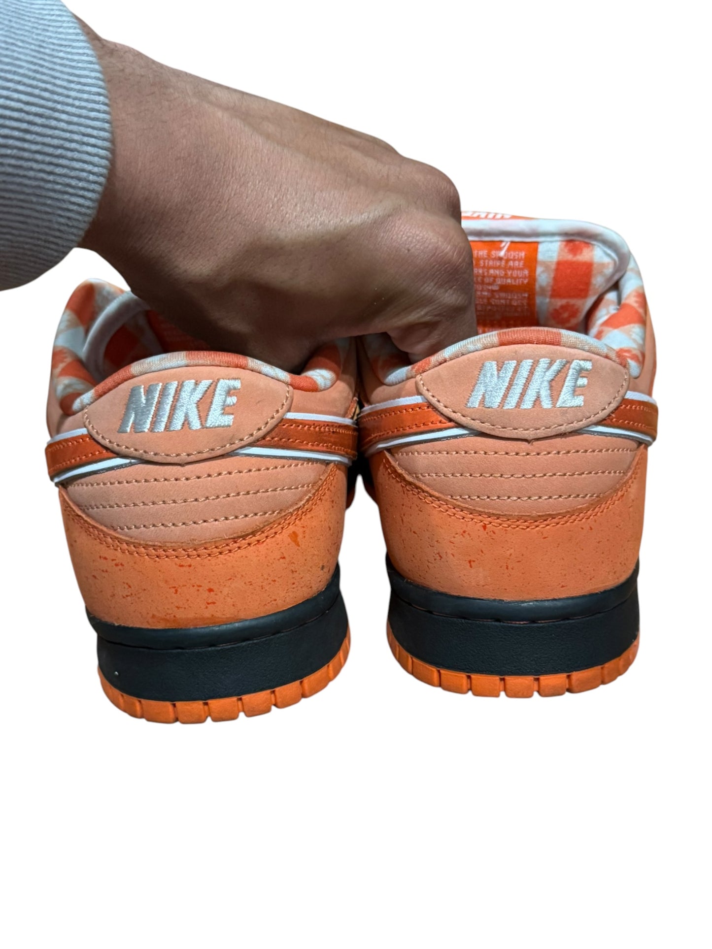 Nike SB Dunk Low Concepts Orange Lobster (Special Box)