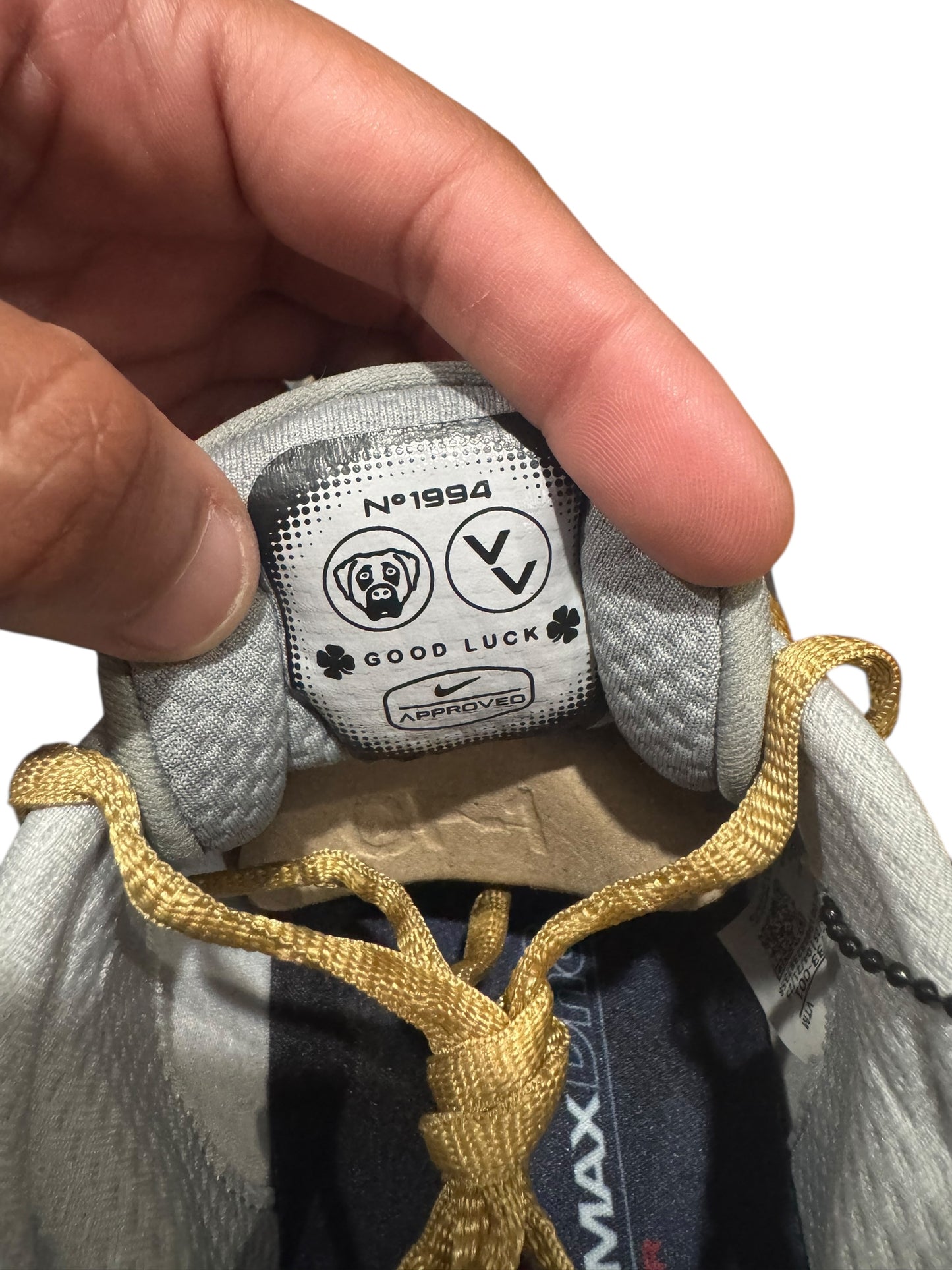 Nike Air Max Dn8 Victor Victor Tokyo