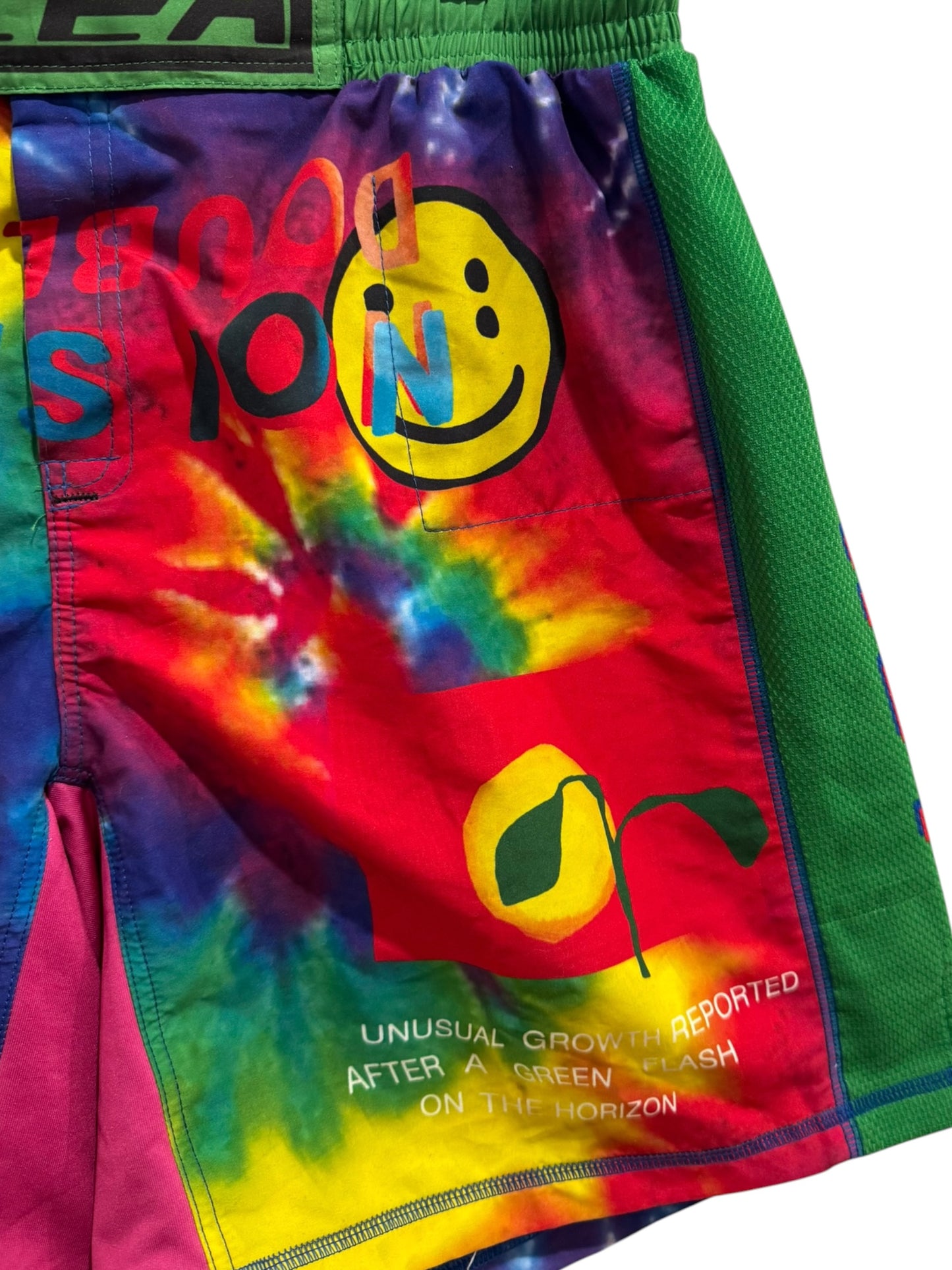 Cactus Plant Flea Market Double Vision Shorts Multicolor