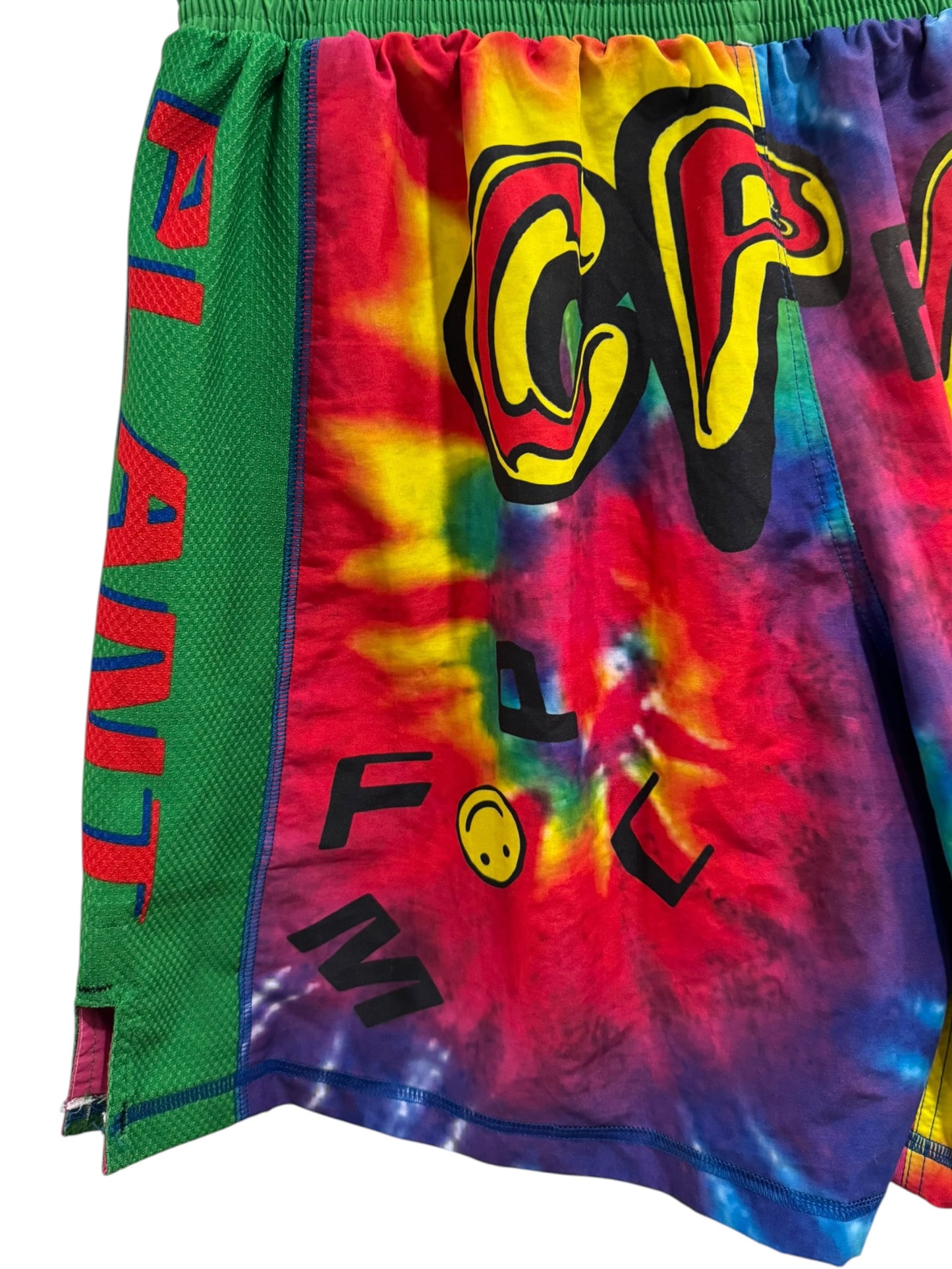 Cactus Plant Flea Market Double Vision Shorts Multicolor